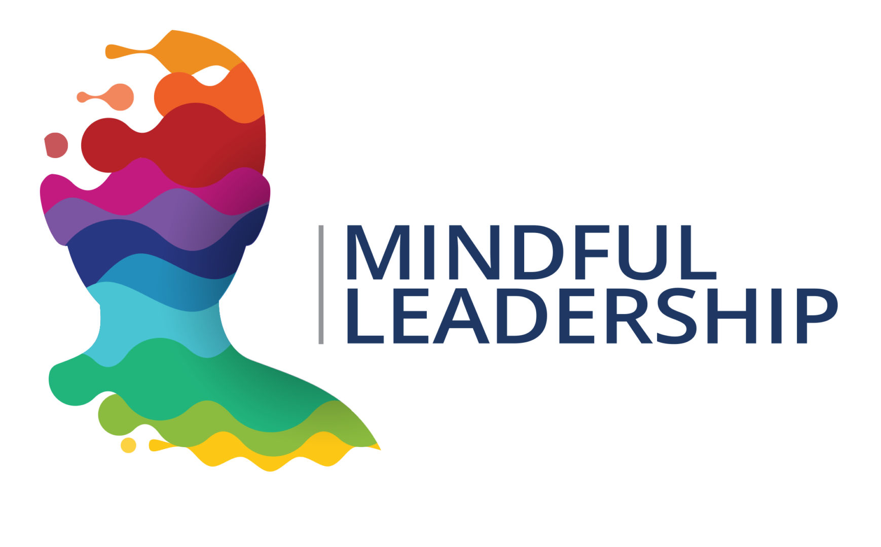 Mindful Leadership Five Characteristics of a Mindful Leader Lee